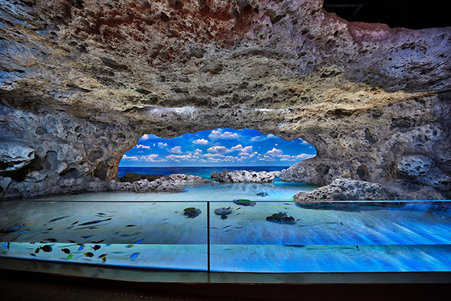 沖縄の海岸を再現した水槽/DMMかりゆし水族館（沖縄県／豊見城市）