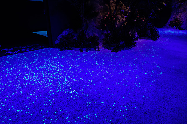 夜光虫をイメージした床/DMMかりゆし水族館（沖縄県／豊見城市）