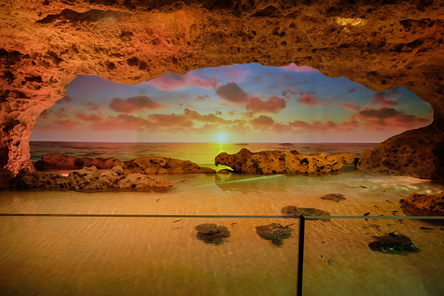 サンセットタイムの水槽/DMMかりゆし水族館（沖縄県／豊見城市）