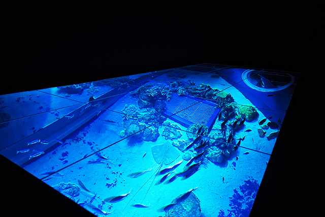 大水槽を真上からウオッチできるガラス張りの床/DMMかりゆし水族館（沖縄県／豊見城市）