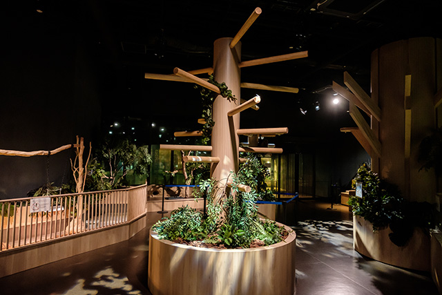 動物ゾーン/DMMかりゆし水族館（沖縄県／豊見城市）