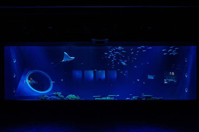 うちなー大水槽/DMMかりゆし水族館（沖縄県／豊見城市）