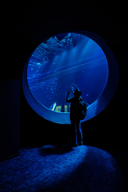 大水槽の大きな丸窓/DMMかりゆし水族館（沖縄県／豊見城市）