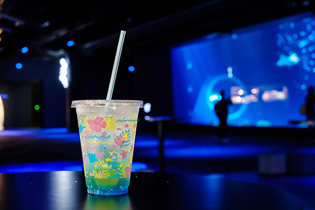 クラゲスカッシュ/DMMかりゆし水族館（沖縄県／豊見城市）