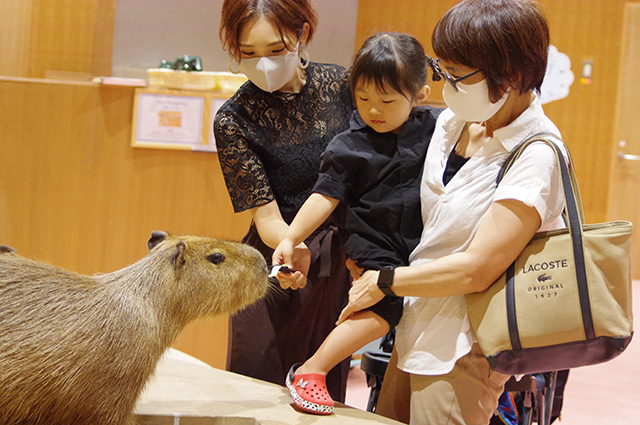 Moff animal cafe/ららぽーと愛知東郷(愛知県/東郷町)