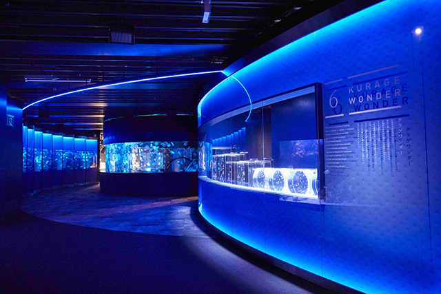 京都クラゲ研究部/京都水族館 クラゲワンダー（京都府/京都市）