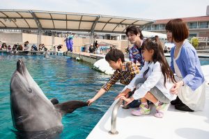 4つの水族館がある横浜・八景島シーパラダイス! 子ども連れで楽しむ5つのポイント