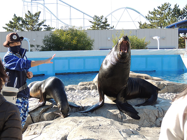 オタリア/横浜・八景島シーパラダイス(神奈川県/横浜市)