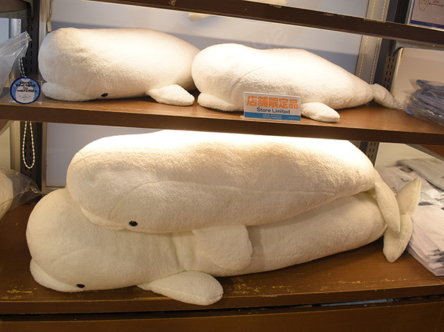 シロイルカむぎゅとろ抱き枕/横浜・八景島シーパラダイス(神奈川県/横浜市)