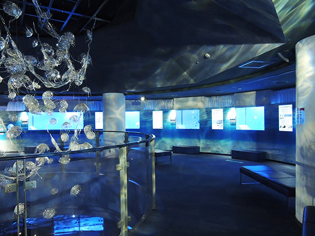 クラゲエリア/横浜・八景島シーパラダイス(神奈川県/横浜市)