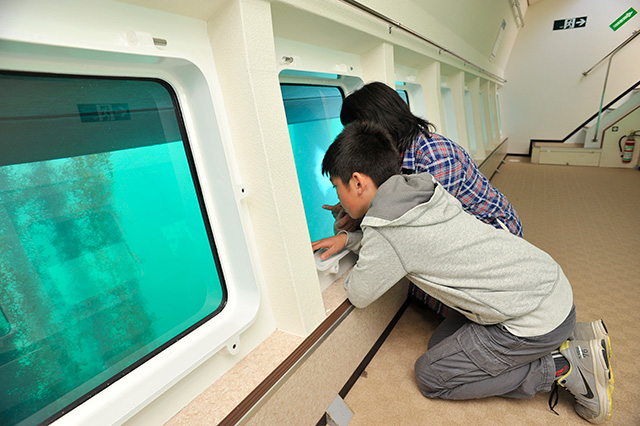 「サブマリンサーチ」/横浜・八景島シーパラダイス(神奈川県/横浜市)