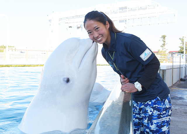シロイルカ 加登岡さんのホッペにチュッ/横浜・八景島シーパラダイス(神奈川県/横浜市)