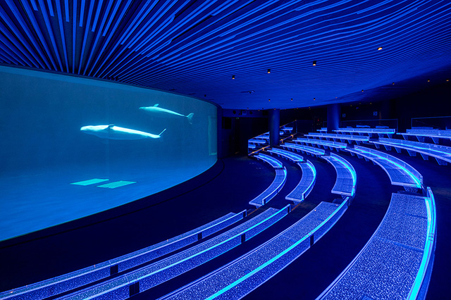 広いパフォーマンスプール/しまね海洋館アクアス(島根県/浜田市)