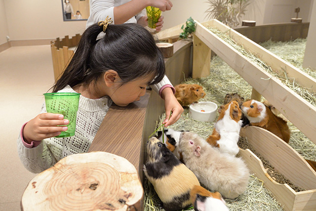 ふれあいパーク/カワスイ 川崎水族館(神奈川県/川崎市)