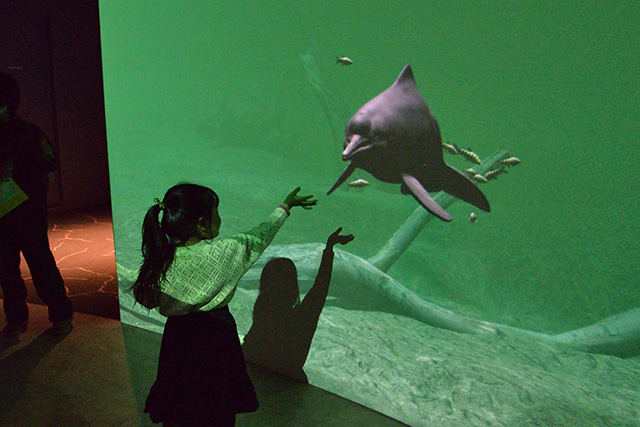 パノラマスクリーンゾーン/カワスイ 川崎水族館(神奈川県/川崎市)