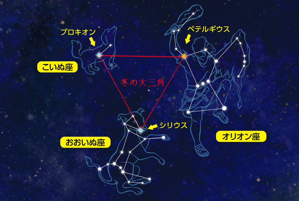 冬の大三角の解説