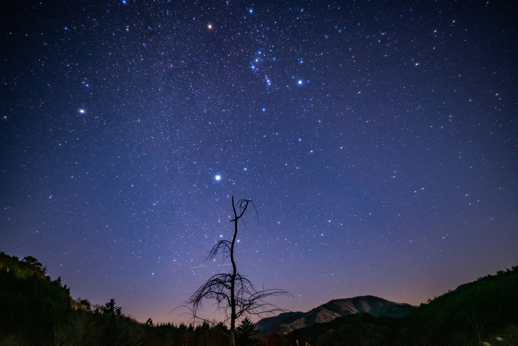 長野県阿智村の冬の星空