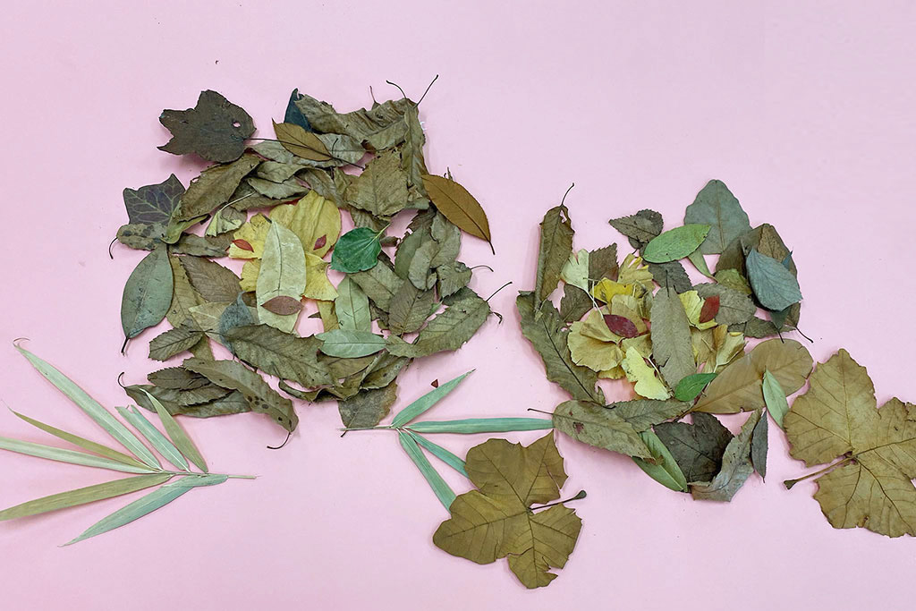 落ち葉アートの「ライオン」