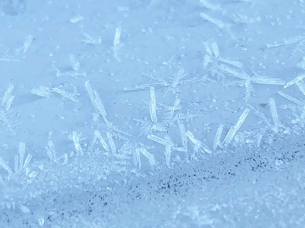 霜の結晶