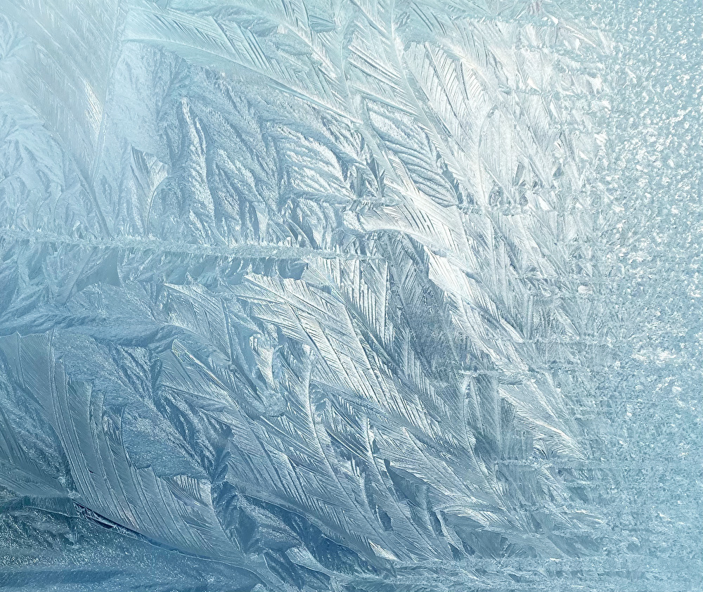葉っぱのような形の霜の結晶