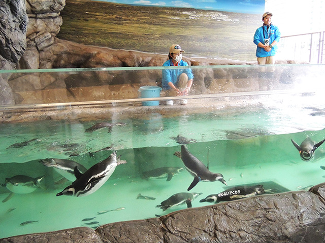 「しな水いきものト~ク」の様子/しながわ水族館(東京都/品川区)