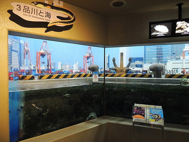 水槽「品川と海」/しながわ水族館(東京都/品川区)