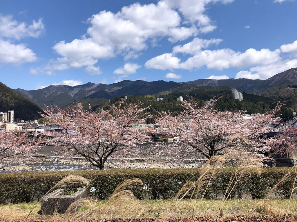 移住生活(岐阜県/下呂市)