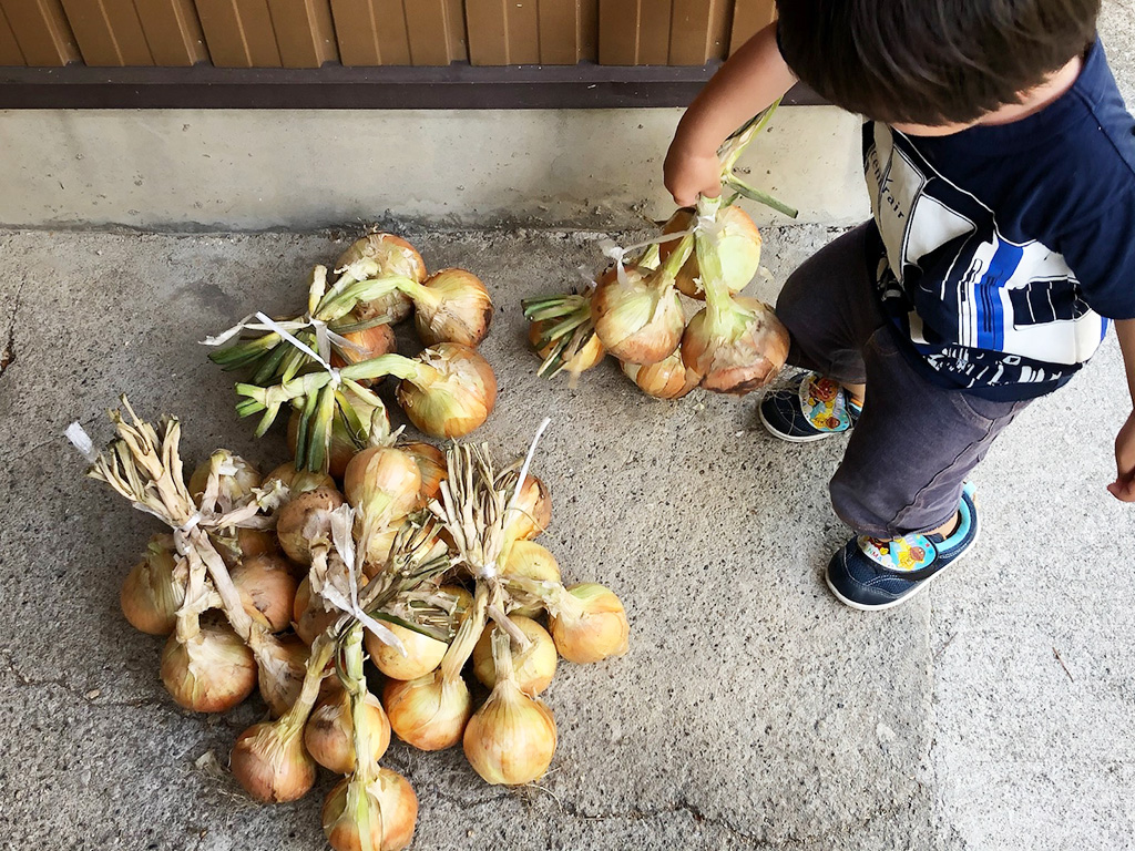 移住生活(岐阜県/下呂市)