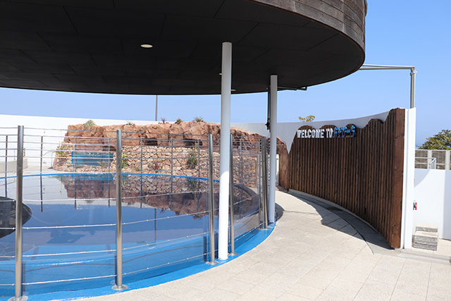 オットセイ プール/大分マリーンパレス 水族館「うみたまご」(大分県/大分市)