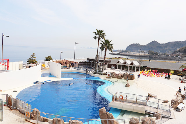 あそびーち/大分マリーンパレス 水族館「うみたまご」(大分県/大分市)