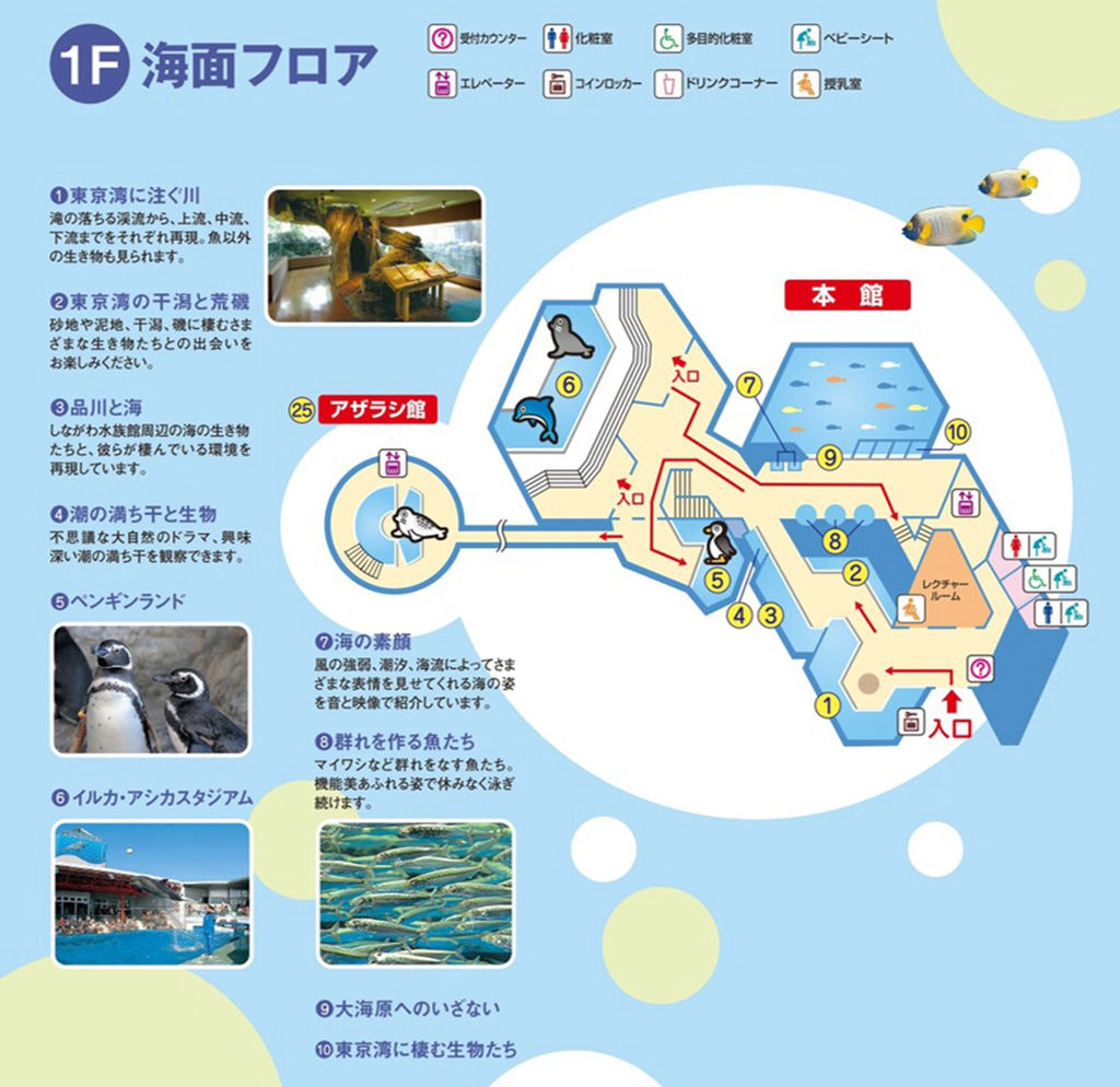 館内マップ1階「海面フロア」/しながわ水族館(東京都/品川区)