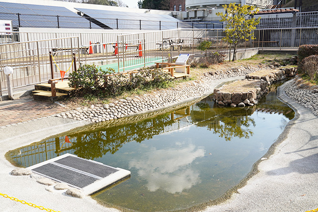 じゃぶじゃぶ小川/姫路市立水族館(兵庫県)