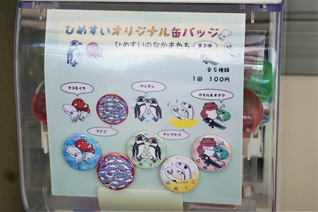 人気の缶バッジガチャガチャ/姫路市立水族館(兵庫県)