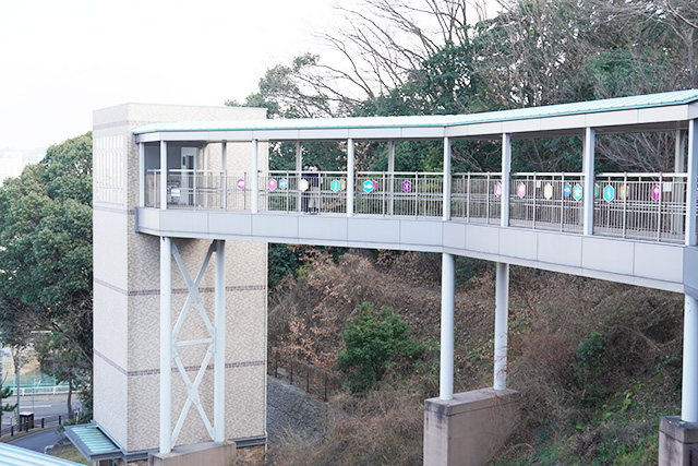 手柄山第1立体駐車場から入場するルート/姫路市立水族館(兵庫県)