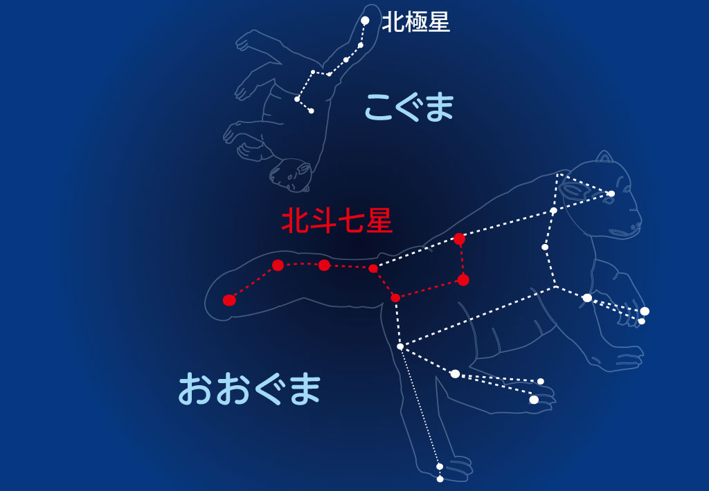 おおぐま座とこぐま座