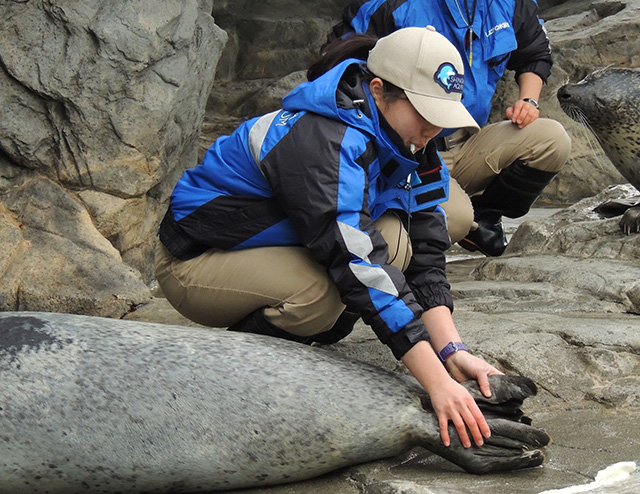 しながわ水族館のアザラシショー（東京都/品川区）