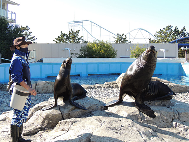 体験プログラムの様子/横浜・八景島シーパラダイス（神奈川県／横浜市）