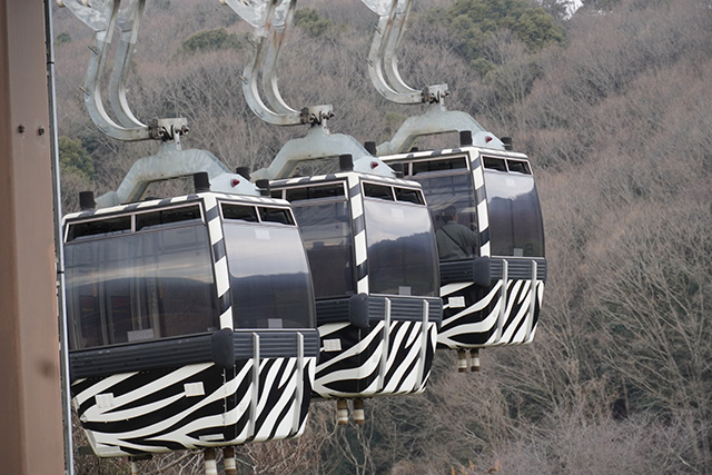 シマウマ模様のゴンドラ/姫路セントラルパーク(兵庫県/姫路市)