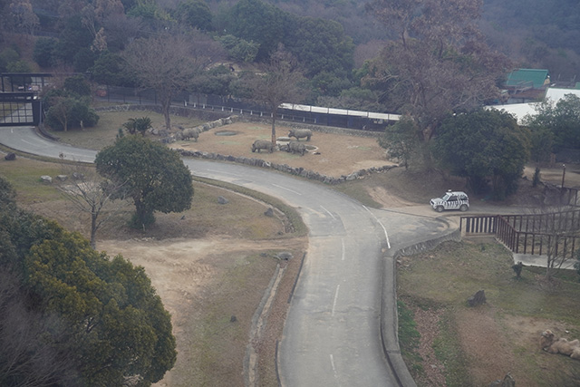 ゴンドラからの眺め/姫路セントラルパーク(兵庫県/姫路市)