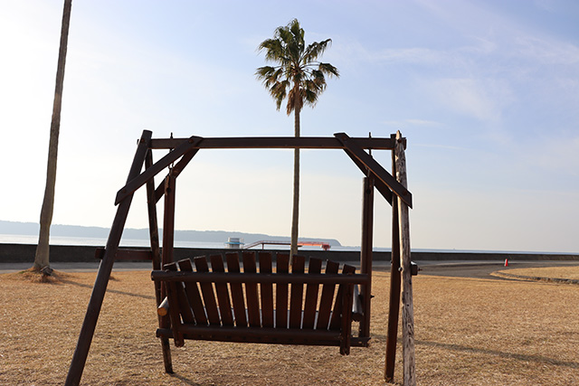 太平洋が目の前に広がる芝生の広場/串本海中公園（和歌山県/串本町）