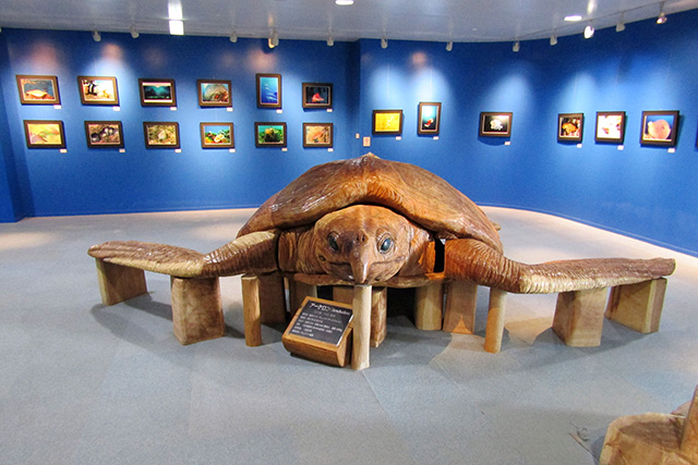 ウミガメ・アーケロン/串本海中公園（和歌山県/串本町）