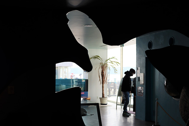 ウミガメの形の壁/串本海中公園（和歌山県/串本町）