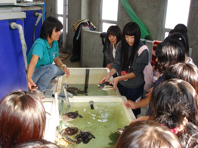 「水族館飼育体験」の様子/串本海中公園（和歌山県/串本町）