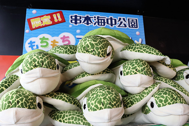 ウミガメのぬいぐるみ/串本海中公園（和歌山県/串本町）