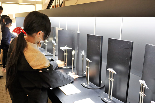 イルカの模型/太地町立くじらの博物館（和歌山県）