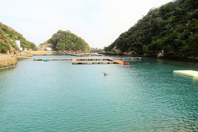 太地町立くじらの博物館（和歌山県）