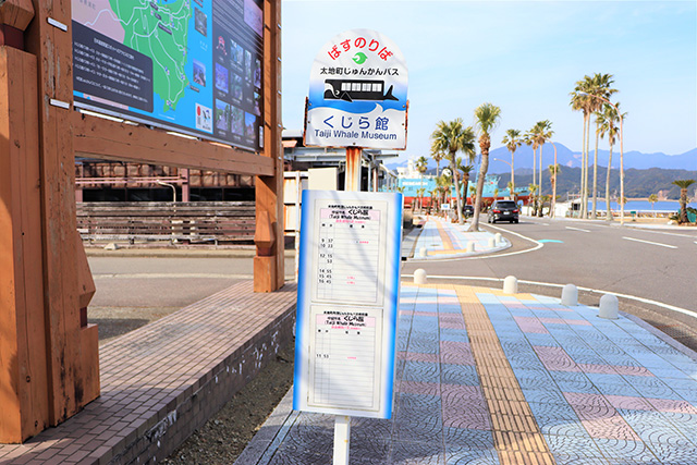 太地町立くじらの博物館（和歌山県）