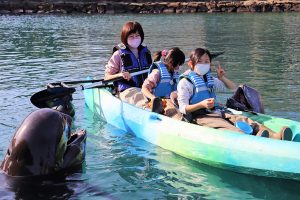 太地町立くじらの博物館の回り方は？クジラショー、イルカショー、ふれあいも充実