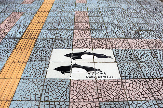 歩道にもクジラやイルカがいるよ/太地町立くじらの博物館（和歌山県）