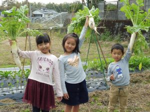 宮崎で体験する癒しの農泊スポット！親子で豊かな時間を過ごそう